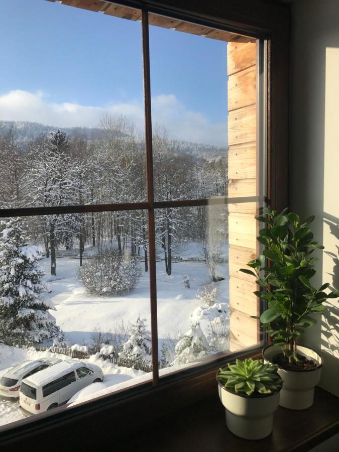 Ubytovani U Potoka Destne v Orlickych horach Dış mekan fotoğraf