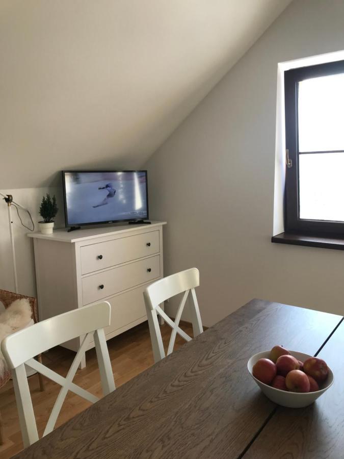 Ubytovani U Potoka Destne v Orlickych horach Dış mekan fotoğraf