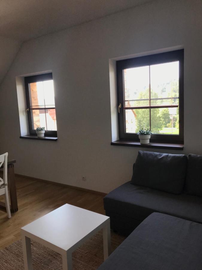 Ubytovani U Potoka Destne v Orlickych horach Dış mekan fotoğraf