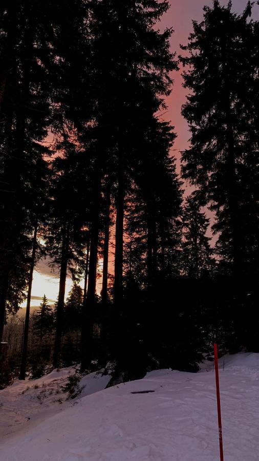Ubytovani U Potoka Destne v Orlickych horach Dış mekan fotoğraf