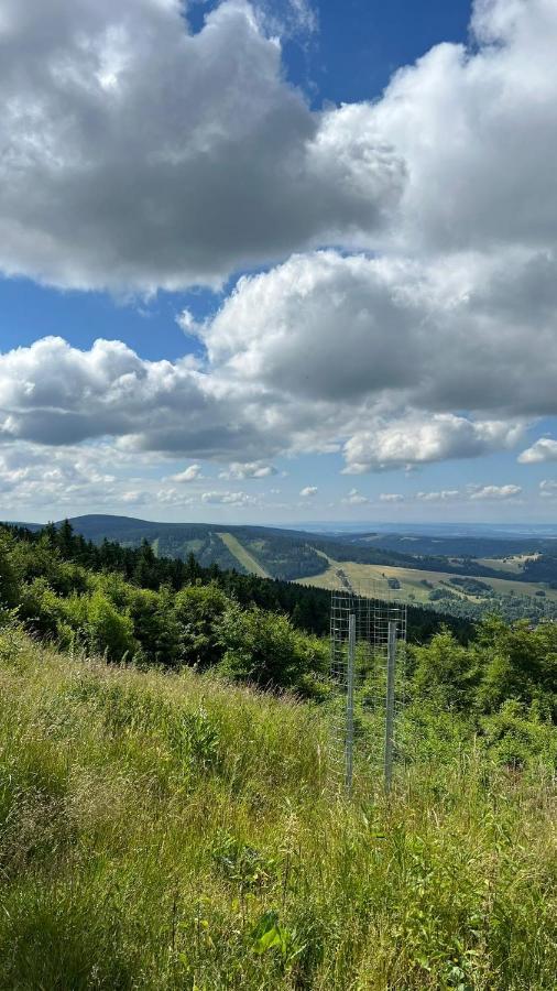 Ubytovani U Potoka Destne v Orlickych horach Dış mekan fotoğraf
